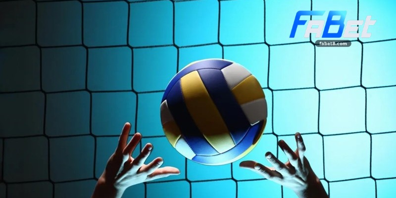 Cá Cược Bóng Chuyền Fabet 